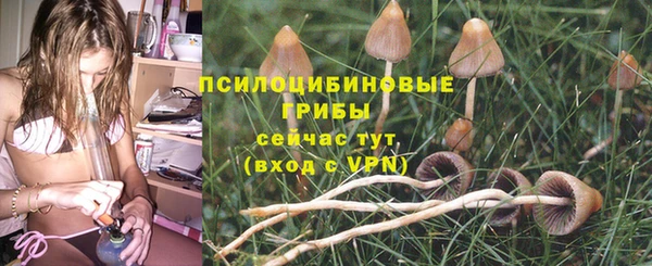 PSILOCYBIN Нея