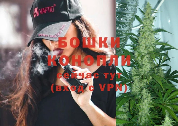 PSILOCYBIN Нея